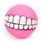 vA03Funny-Silicone-Pet-Dog-Cat-Toy-Ball-Chew-Treat-Holder-Tooth-Cleaning-Squeak-Toys-Dog-Puppy.jpg