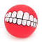 nYRRFunny-Silicone-Pet-Dog-Cat-Toy-Ball-Chew-Treat-Holder-Tooth-Cleaning-Squeak-Toys-Dog-Puppy.jpg