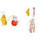 Za8PPet-Cat-Toys-Elasticity-Retractable-Hanging-Door-Type-Interactive-Toy-For-Kitten-Mouse-Catnip-Scratch-Rope.jpg