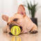 m9mDRubber-Tooth-Cleaning-Snack-Ball-For-Dogs-Indestructible-Dog-Toy-For-Large-Dogs-Soft-Pet-Chew.jpg