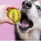 cJVKRubber-Tooth-Cleaning-Snack-Ball-For-Dogs-Indestructible-Dog-Toy-For-Large-Dogs-Soft-Pet-Chew.jpg