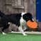 sh7pSilicone-Flying-Saucer-Funny-Dog-Cat-Toy-Dog-Game-Flying-Discs-Resistant-Chew-Puppy-Training-Interactive.jpg