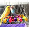 xWOg1pcs-Birds-Toy-Pet-Bird-Parrot-Cockatiel-Cage-Bird-Toys-HangingToy-Brinquedo-Hammock-Swing-Toy.jpg