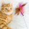 2VMiInteractive-Cat-Toys-Funny-Feather-Teaser-Stick-with-Bell-Pets-Collar-Kitten-Playing-Teaser-Wand-Training.jpg