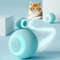 cN37Interactive-Ball-Cat-Toys-Gravity-Ball-Smart-Touch-Sounding-Toys-Interactive-Squeak-Toys-Ball-Simulated-Call.jpg