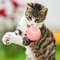 jfmmSmart-Cat-Toys-Electric-Cat-Ball-Automatic-Rolling-Ball-Cat-Interactive-Toys-Pets-Toy-For-Cats.jpg