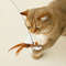 Sg7tHandfree-Bird-Feather-Cat-Wand-with-Bell-Powerful-Suction-Cup-Interactive-Toys-for-Cats-Kitten-Hunting.jpg