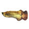 7topCat-Toy-Training-Entertainment-Fish-Plush-Stuffed-Pillow-20Cm-Simulation-Fish-Cat-Toy-Fish-Interactive-Pet.jpg