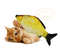 dCgV20-30-40-Creative-Cat-Toy-3d-Fish-Simulation-Soft-Plush-Anti-Bite-Catnip-Interaction-Chewing.jpg