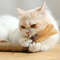 fKjSCatnip-Cat-Toys-Natural-Matatabi-Pet-Cat-Snacks-Stick-Cleans-Tooth-Removers-Hair-to-Promote-Digestion.jpg
