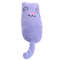 aKb0Funny-Interactive-Crazy-Cat-Toy-Pet-Kitten-Chewing-Toy-Teeth-Grinding-Catnip-Toys-Claws-Thumb-Bite.jpg