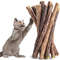 tIMB5-25-50PCS-Natural-Matatabi-Cat-Stick-Mint-Caught-Bite-Excited-Rods-Silvervine-For-Cat-Teeth.jpg