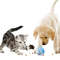 W6QdPet-Interactive-Dog-Cat-Leakage-Food-Balls-Adjustable-Anti-Choke-Slow-Feeder-Treat-Dispenser-Iq-Training.jpg