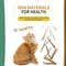 zn3bCatnip-Clean-Teeth-Green-Cat-Snacks-Sticks-Cat-Molar-Stick-Pet-Supplies-Toys-Cats-Chew-Toys.jpg