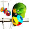 7OJ6Cute-Pet-Bird-Plastic-Chew-Ball-Chain-Cage-Toy-for-Parrot-Cockatiel-Parakeet.jpg