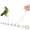 djdm50cm-Bord-Stainless-Steel-Chain-Parrot-Anti-flying-Traction-Rope-Bird-Feet-Bracelet-Alloy-Foot-Ring.jpg