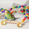 pwU81-Pc-Bird-Toy-Set-Rocking-Chewing-Training-Combination-Toy-Bird-Cage-Parrot-Hanging-Hammock-Parrot.jpg