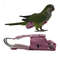E7dWParrot-Diaper-with-Bowtie-Cute-Colorful-Fruit-Floral-Cockatiel-Pigeons-Small-Medium-Large-Pet-Birds-Flight.jpg