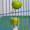 jberPet-Parrots-Birds-Feeder-Food-Holder-Support-Stainless-Steel-Spear-Stick-Fruit-Anti-stick-Skewers-Bird.jpg