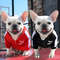 mUXtBaseball-Dog-Jacket-Winter-Dog-Clothes-for-Small-Medium-Dogs-Puppy-Pet-Vest-French-Bulldog-Sweatshirt.jpg