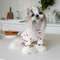 8TR2Autumn-and-Winter-Pet-Undercoat-Clothes-Embroidered-Bear-Waffle-Home-Vest-Dog-Cat-Yorkshire-Schnauzer-Maltese.jpg