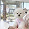 1BMEFashion-Dog-Clothes-Summer-Dog-Thin-Shirt-Cute-Puppy-Vest-Soft-Pet-Cat-Shirt-Breathable-Dog.jpg