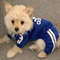 Z3vTClothes-for-Small-Dogs-Adidog-Winter-Dog-Clothing-for-Medium-Dogs-Pet-Products-Puppy-Sweatshirt-Coat.jpg