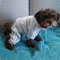 n4VAClothes-for-Small-Dogs-Adidog-Winter-Dog-Clothing-for-Medium-Dogs-Pet-Products-Puppy-Sweatshirt-Coat.jpg