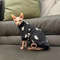 JWHSThick-Black-Cotton-Coat-for-Sphynx-Cat-Winter-Soft-ghost-Sweatshirt-for-Kittens-Warm-Loungewear-for.jpg