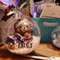 C6mv4-10CM-Christmas-Transparent-Ball-Plastic-Fillable-Bauble-Xmas-Tree-Hanging-Ornaments-Decoration-for-Home-Wedding.jpg