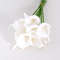 WVyb5-10Pcs-Real-Touch-Calla-Lily-Artificial-Flowers-White-Wedding-Bouquet-Bridal-Shower-Party-Home-Flower.jpg