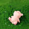 BWQEKawaii-Pig-Resin-Diy-Home-Decoration-Figurines-Dollhouse-Moss-Terrarium-Landscape-Accessories-Fairy-Garden-Miniatures-Room.jpg