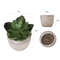 UPaoMini-Artificial-Aloe-Plants-Bonsai-Small-Simulated-Tree-Pot-Plants-Fake-Flowers-Office-Table-Potted-Ornaments.jpg