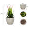 H7eJMini-Artificial-Aloe-Plants-Bonsai-Small-Simulated-Tree-Pot-Plants-Fake-Flowers-Office-Table-Potted-Ornaments.jpg