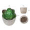 fCCSMini-Artificial-Aloe-Plants-Bonsai-Small-Simulated-Tree-Pot-Plants-Fake-Flowers-Office-Table-Potted-Ornaments.jpg