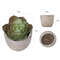 JTcsMini-Artificial-Aloe-Plants-Bonsai-Small-Simulated-Tree-Pot-Plants-Fake-Flowers-Office-Table-Potted-Ornaments.jpg