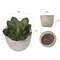 xTIYMini-Artificial-Aloe-Plants-Bonsai-Small-Simulated-Tree-Pot-Plants-Fake-Flowers-Office-Table-Potted-Ornaments.jpg