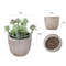 o8XjMini-Artificial-Aloe-Plants-Bonsai-Small-Simulated-Tree-Pot-Plants-Fake-Flowers-Office-Table-Potted-Ornaments.jpg