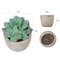 l0LWMini-Artificial-Aloe-Plants-Bonsai-Small-Simulated-Tree-Pot-Plants-Fake-Flowers-Office-Table-Potted-Ornaments.jpg