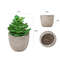 Vn8CMini-Artificial-Aloe-Plants-Bonsai-Small-Simulated-Tree-Pot-Plants-Fake-Flowers-Office-Table-Potted-Ornaments.jpg