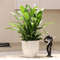 k7GLLazy-Flower-Pot-Automatic-Water-Absorbing-Flowerpot-Transparent-Plastic-Self-Watering-Planter-Plants-Nursery-Pods-Flowerpot.jpeg