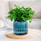7yVKPlastic-Flower-Pot-Succulent-Plant-Pot-Self-Watering-Planter-Pots-Home-Tabletop-Flower-Pot-Home-Bonsai.jpg