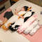 RkCe10-Styles-50-150cm-Long-Cat-Plush-Toys-Stuffed-Soft-Pause-Office-Nap-Doll-Bed-Sleepping.jpg