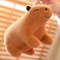 XpOC20-36cm-Fluffy-Capybara-Plush-Doll-Kawaii-Capybara-Stuffed-Toy-Simulation-Stuffed-Animals-Kids-Juguetes-Birthday.jpg