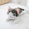 stn720cm-5-Styles-Cute-Cat-Plush-Toys-Doll-Soft-Animal-Cheese-Cat-Stuffed-Toys-Dolls-Pillow.jpg