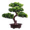 IF4oFestival-Potted-Plant-Simulation-Decorative-Bonsai-Home-Office-Pine-Tree-Gift-DIY-Ornament-Lifelike-Accessory-Artificial.jpg