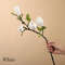 qfSmMagnolia-Artificial-Flowers-Simulation-Magnolia-Fake-Flowers-DIY-Wedding-Decoration-Home-Bouquet-Faux-Flowers-Branch.jpg