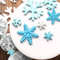 kDkn3-pcs-Sugarcraft-Cake-Decorating-Tools-Fondant-Plunger-Cutters-Tools-Cookie-Biscuit-Cake-Snowflake-Mold-Set.jpg