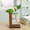 vgXBTerrarium-Hydroponic-Plant-Vases-Vintage-Flower-Pot-Transparent-Vase-Wooden-Frame-Glass-Tabletop-Plants-Home-Bonsai.jpg