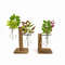 nUxfTerrarium-Hydroponic-Plant-Vases-Vintage-Flower-Pot-Transparent-Vase-Wooden-Frame-Glass-Tabletop-Plants-Home-Bonsai.jpg
